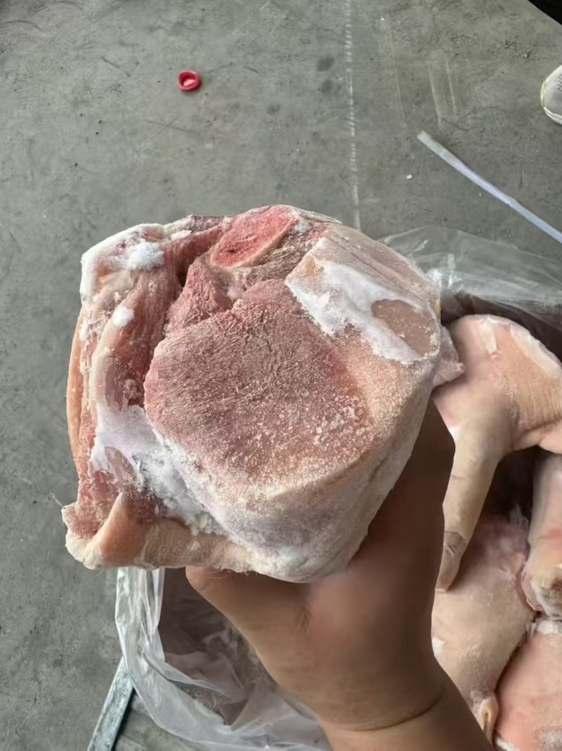 国产前肘