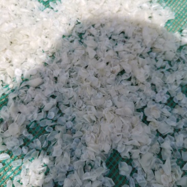 干罗非鱼鱼鳞