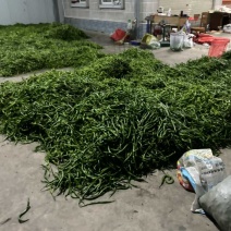 线椒