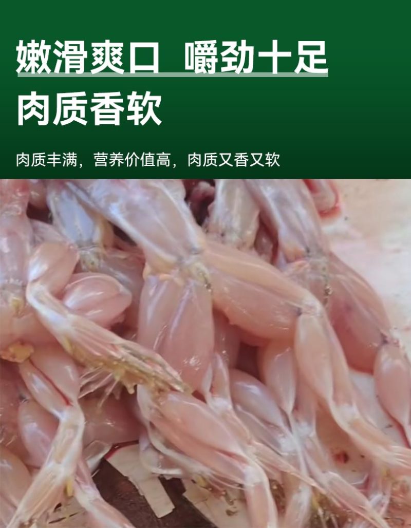 青蛙田鸡麻拐克马非牛蛙稻田生态养殖纯肉鲜活现杀