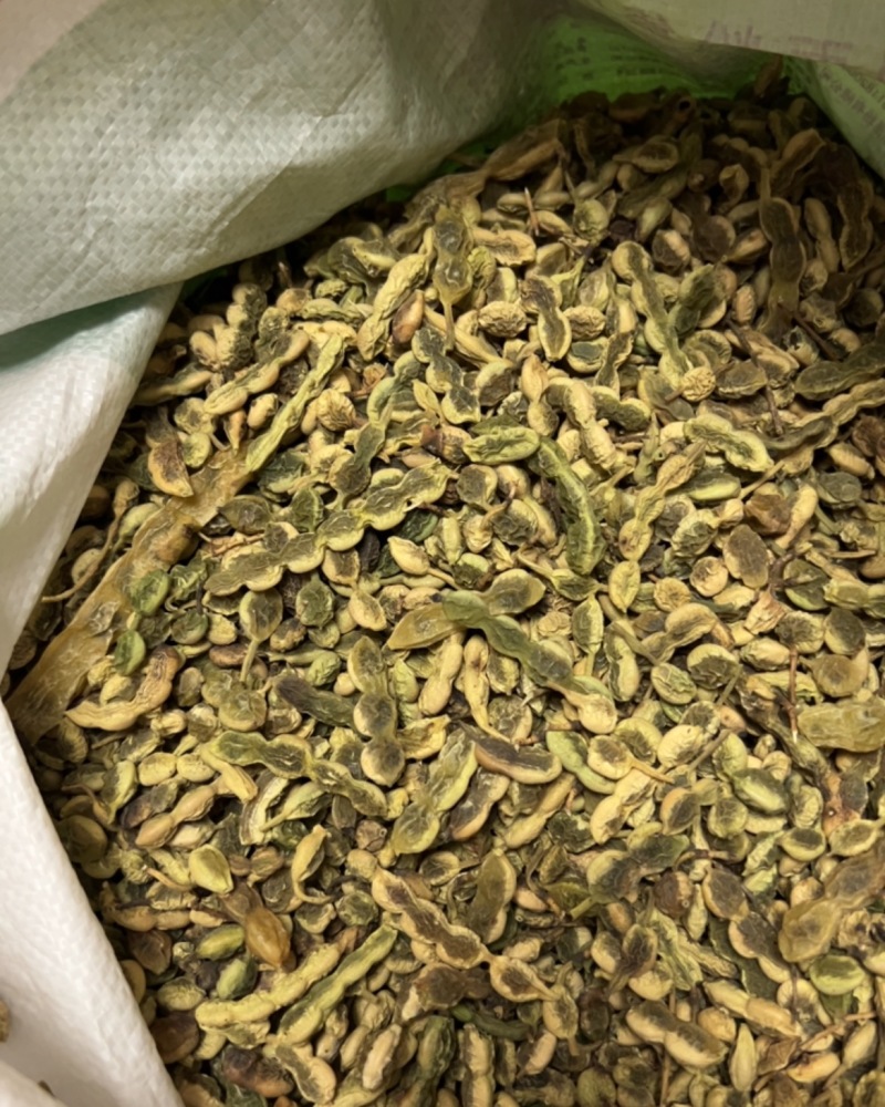 新鲜自产自销女贞子无杂质随时有货
