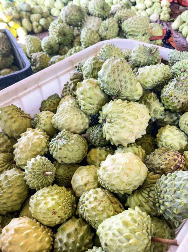 云南释迦果冬果品质极高*甜的水果之一