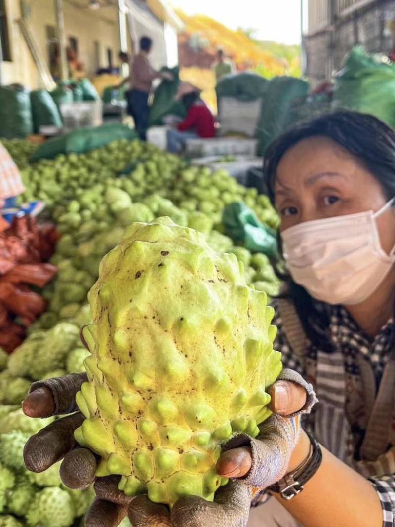 云南释迦果冬果品质极高*甜的水果之一