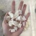 雪燕拉丝雪燕2A3A4A产地批发一手货源质量保证欢