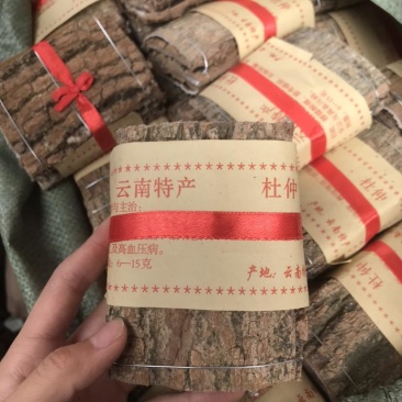 杜仲无皮刮皮杜仲规格齐全一手货源货源充足可批发零售