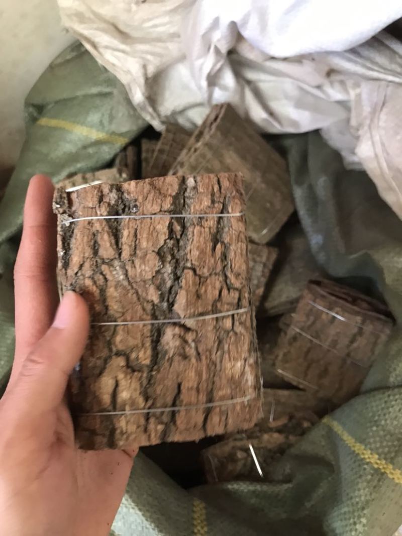 杜仲无皮刮皮杜仲规格齐全一手货源货源充足可批发零售