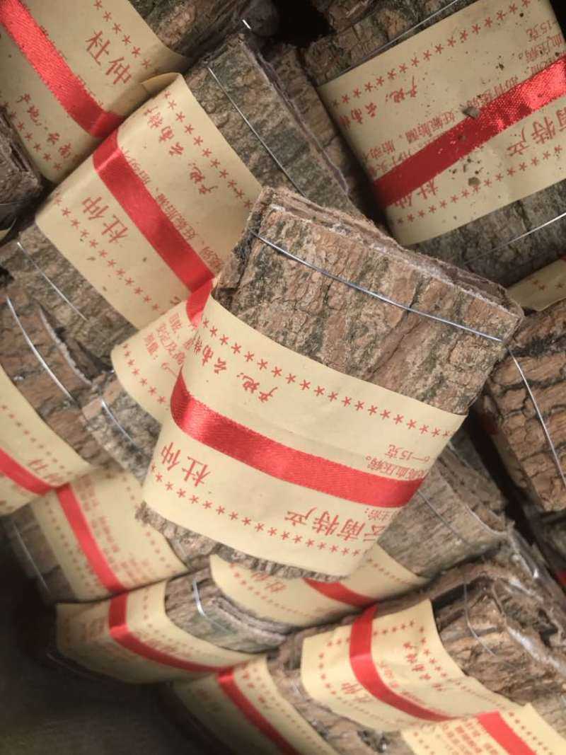 杜仲无皮刮皮杜仲规格齐全一手货源货源充足可批发零售