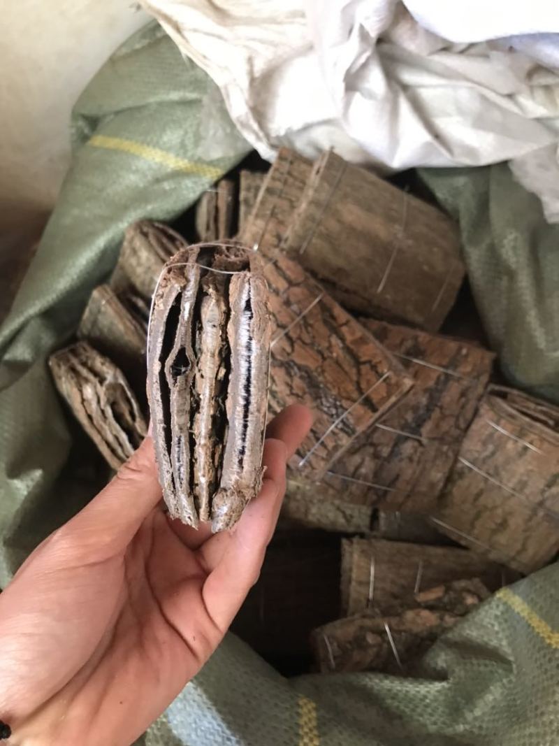 杜仲无皮刮皮杜仲规格齐全一手货源货源充足可批发零售
