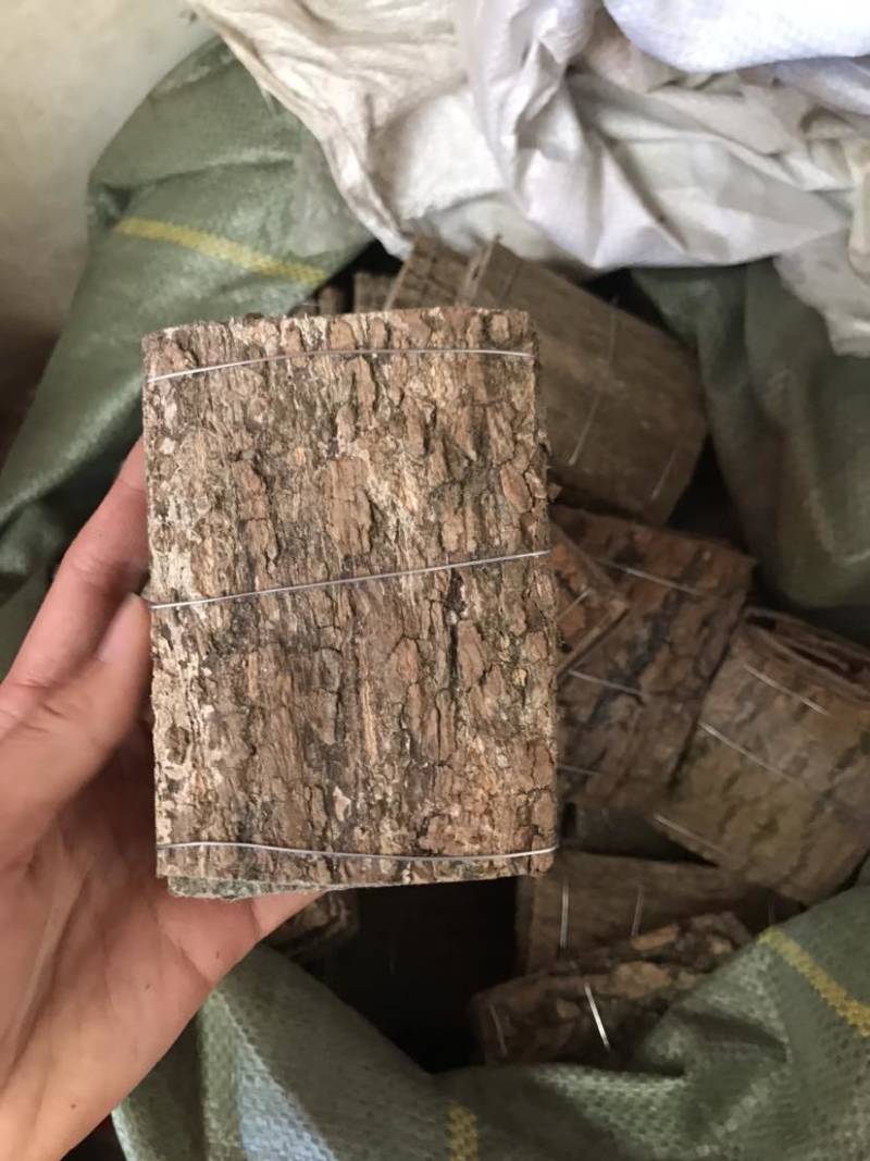 杜仲无皮刮皮杜仲规格齐全一手货源货源充足可批发零售