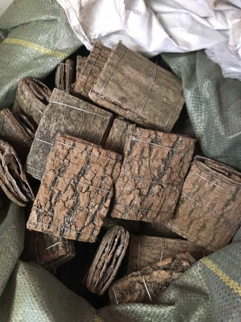 杜仲无皮刮皮杜仲规格齐全一手货源货源充足可批发零售