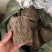 杜仲无皮刮皮杜仲规格齐全一手货源货源充足可批发零售