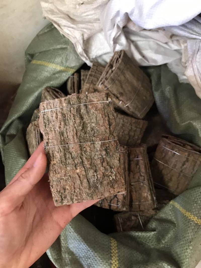 杜仲无皮刮皮杜仲规格齐全一手货源货源充足可批发零售