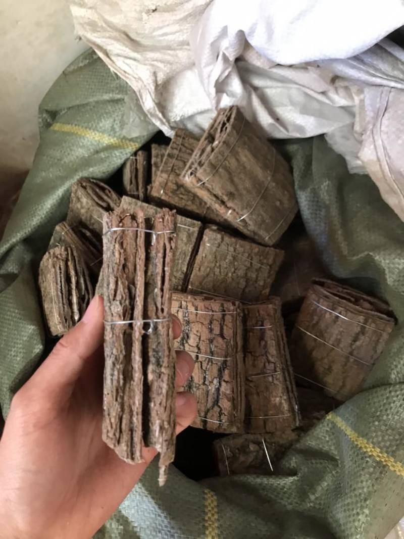 杜仲无皮刮皮杜仲规格齐全一手货源货源充足可批发零售