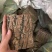 杜仲无皮刮皮杜仲规格齐全一手货源货源充足可批发零售
