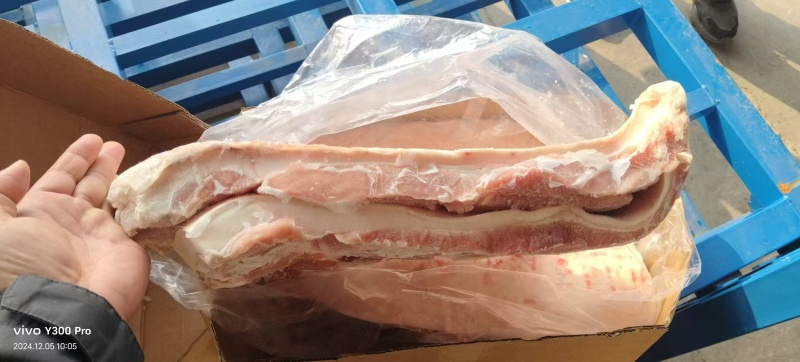后上肉，十公斤箱装2-3片，24年7月，现货21吨，