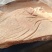 后上肉，十公斤箱装2-3片，24年7月，现货21吨，
