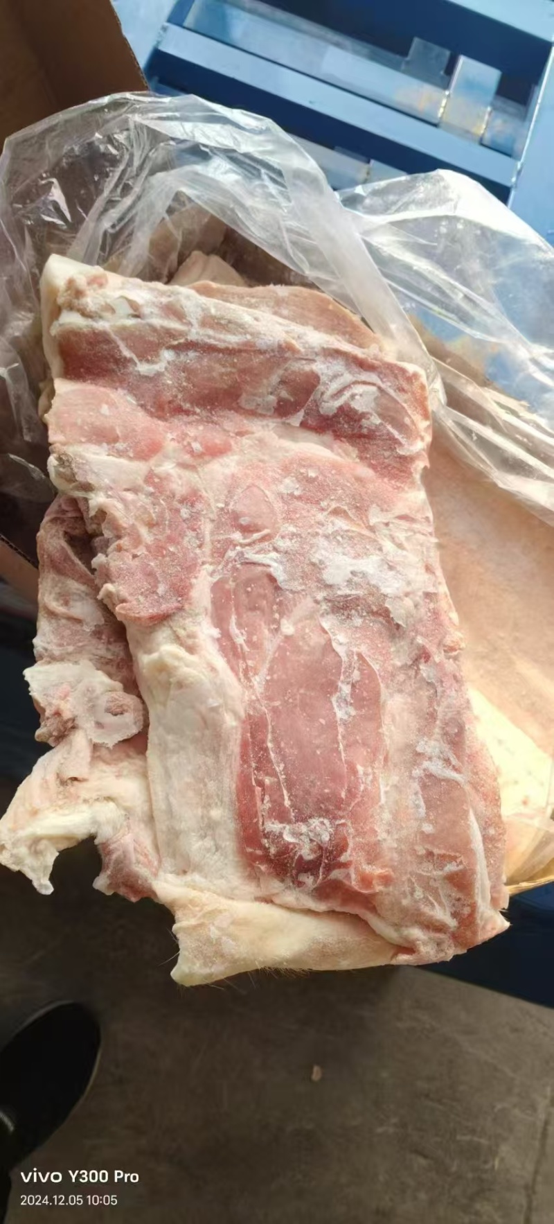 后上肉，十公斤箱装2-3片，24年7月，现货21吨，