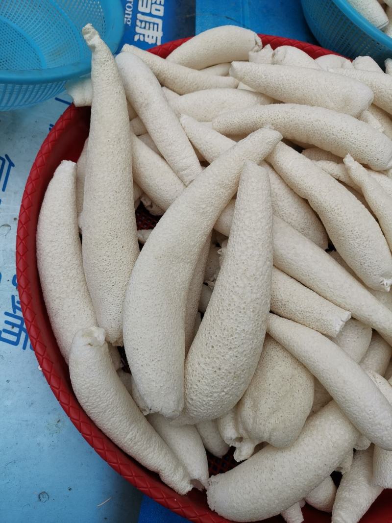 贵州大方冬荪