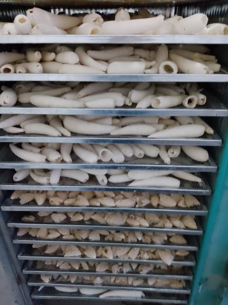 贵州大方冬荪