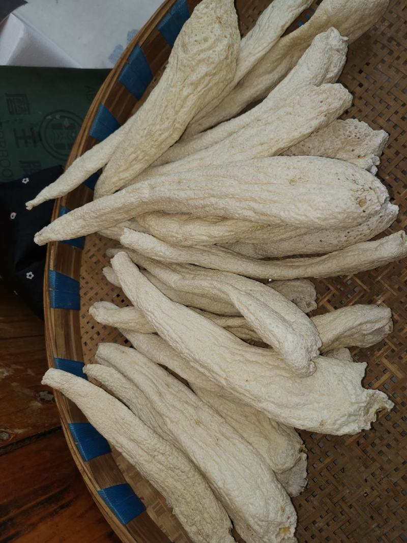 贵州大方冬荪