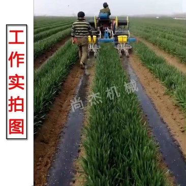 麦地套种辣椒播种机