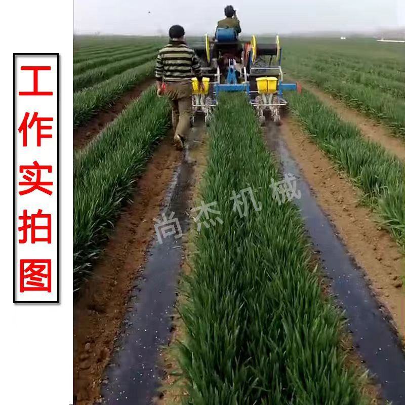 麦地套种辣椒播种机