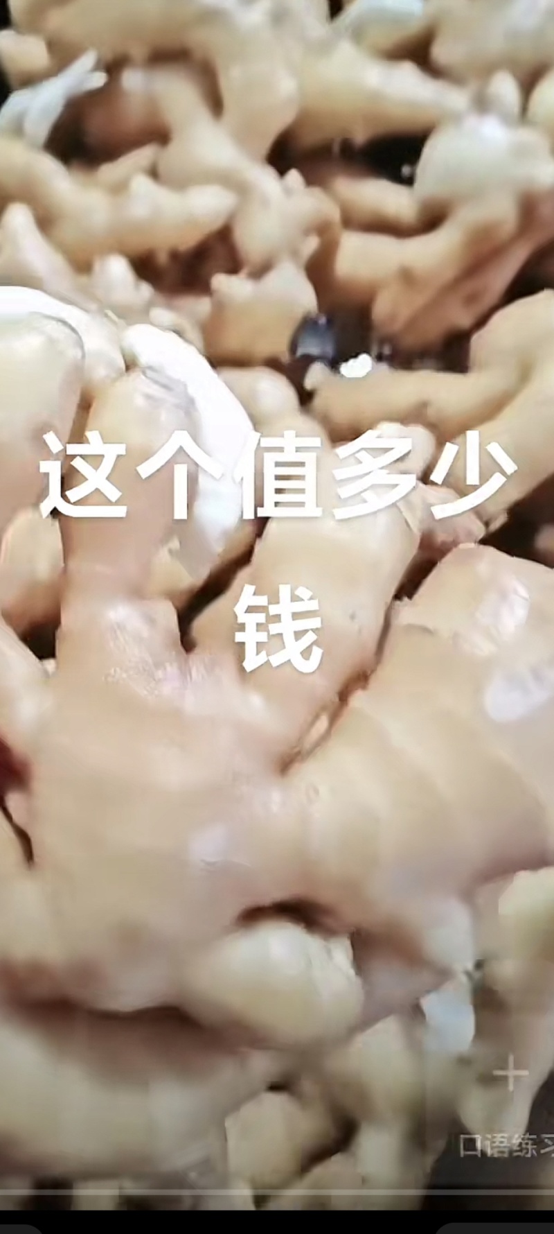 生姜