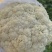 云南高原松花菜，代买代卖，长期有货