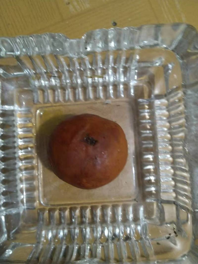 牛黄