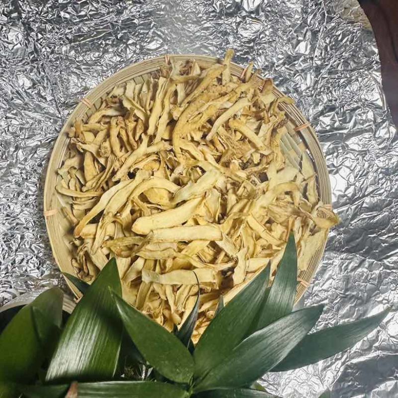 玉竹