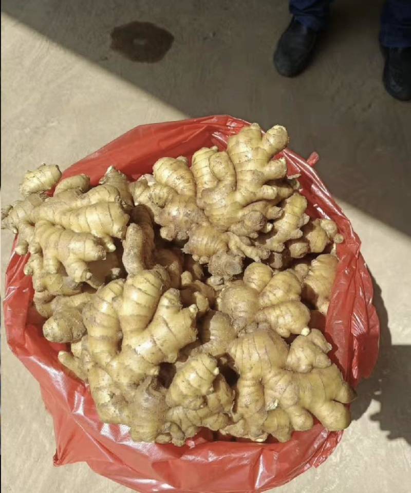 【万人好评优选】产地精品大黄姜可水洗风干保质保量