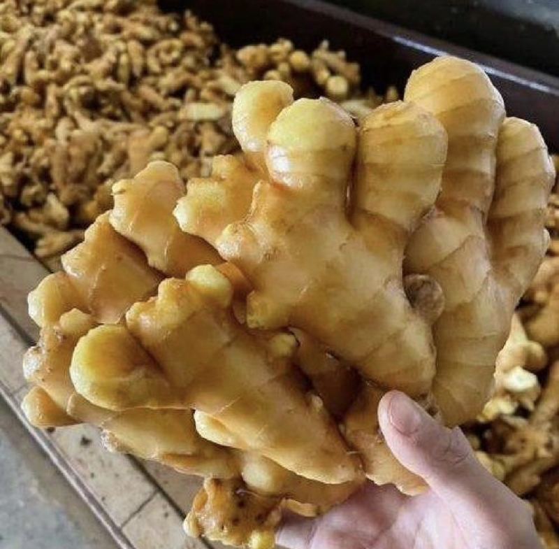 【万人好评优选】产地精品大黄姜可水洗风干保质保量