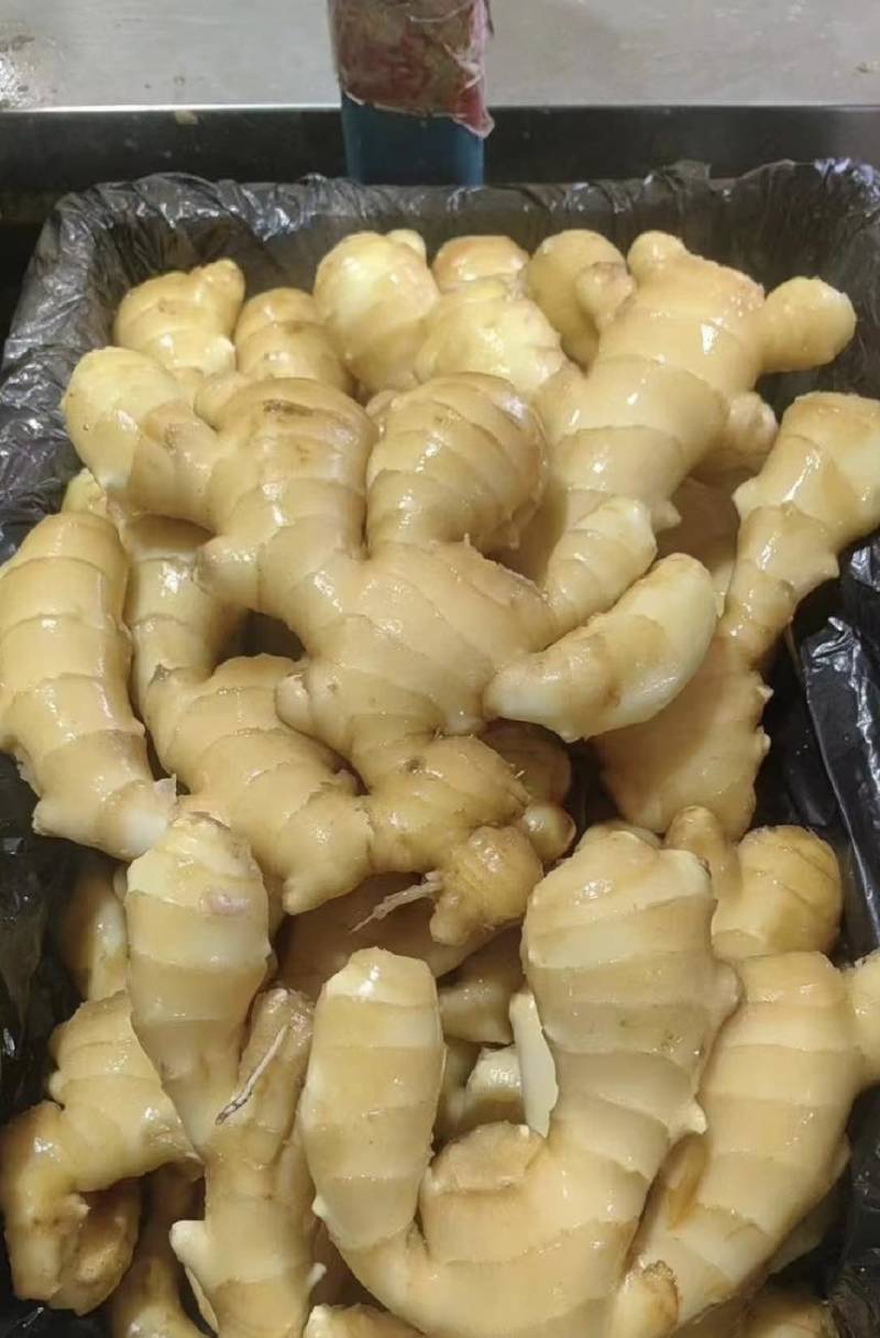 【万人好评优选】产地精品大黄姜可水洗风干保质保量