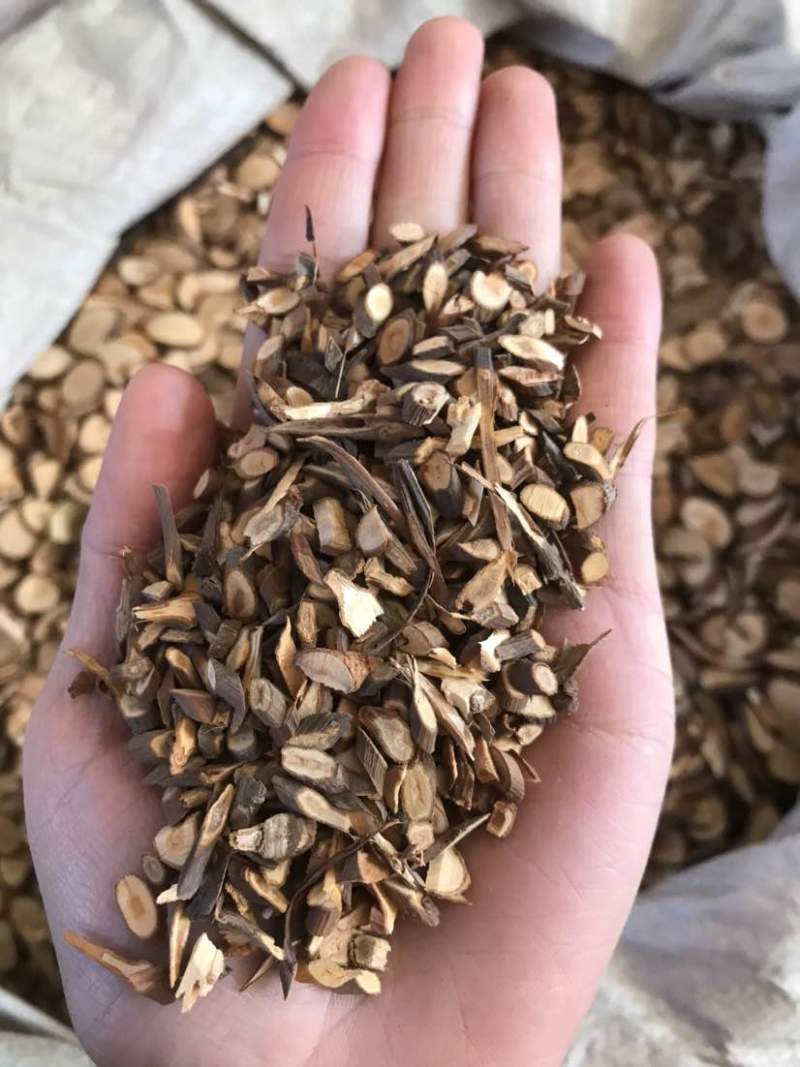 桂枝桂枝尖桂枝片无硫桂枝斜片味道浓郁量大从优欢迎