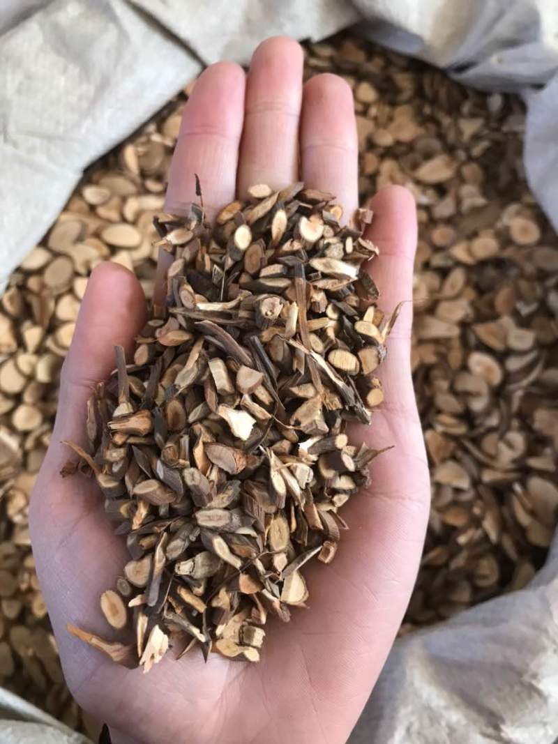 桂枝桂枝尖桂枝片无硫桂枝斜片味道浓郁量大从优欢迎