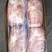 肥猪四号肉