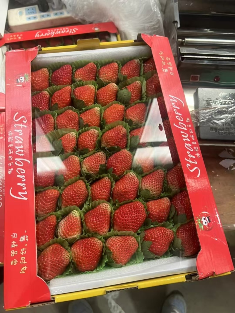 凉山露天奶油草莓