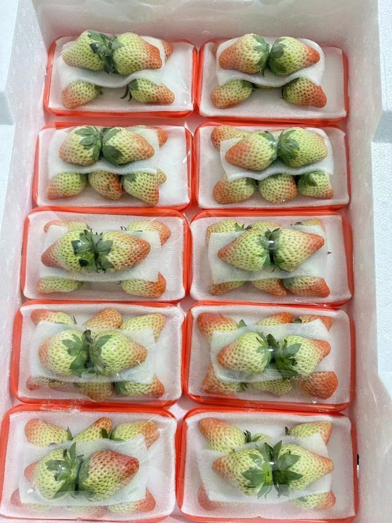 凉山露天奶油草莓