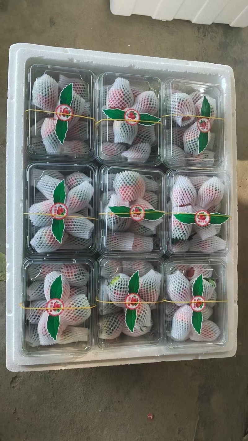 凉山露天奶油草莓