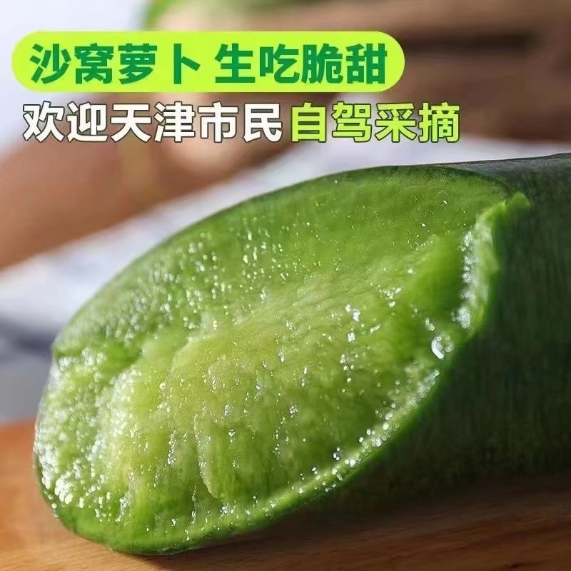 天津沙窝萝卜
