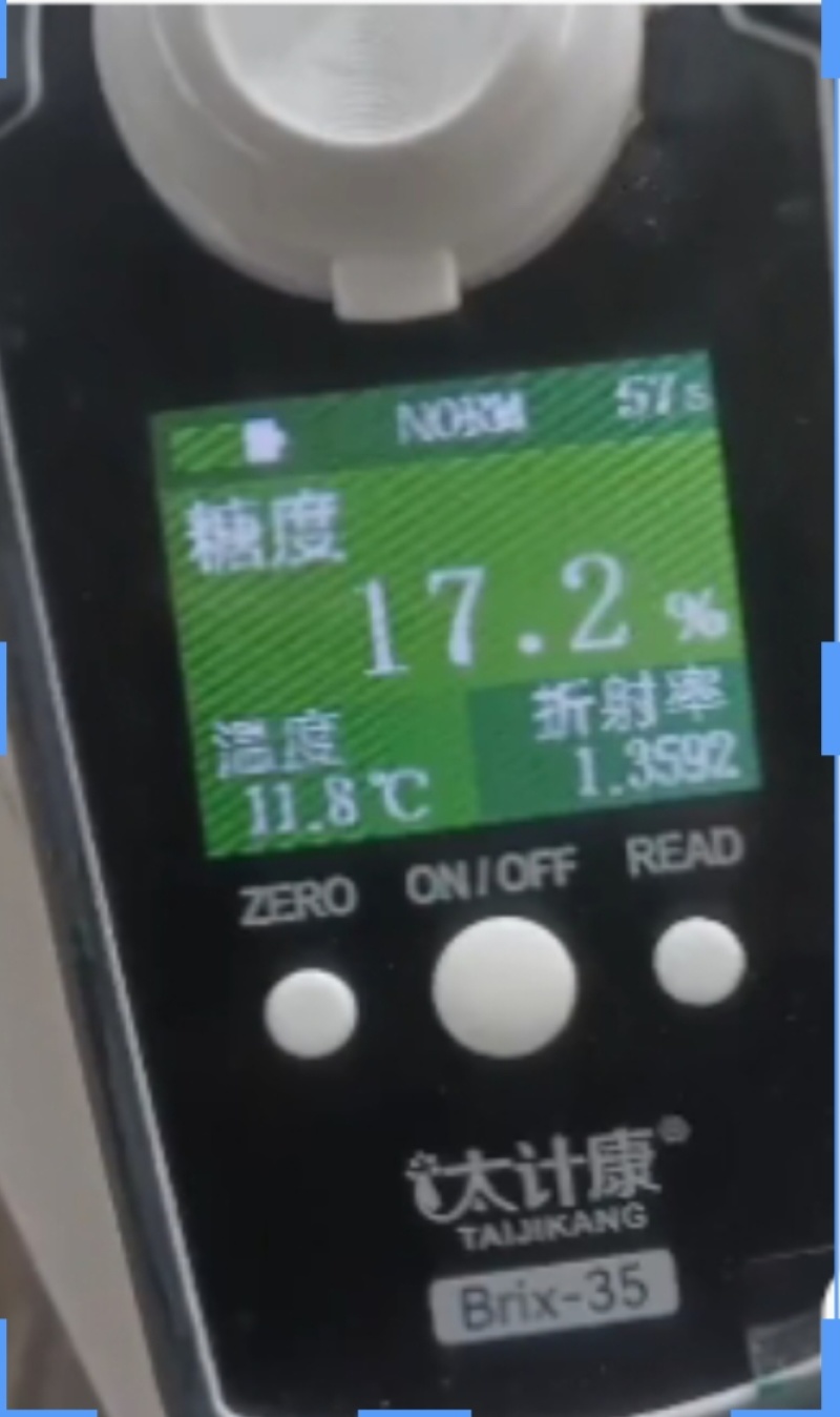 产地精品果只要2.8元