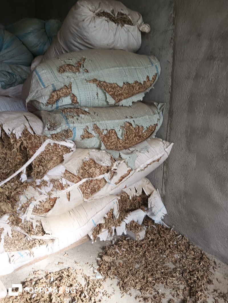 自家种植正宗蕲艾叶产地直发价格优惠