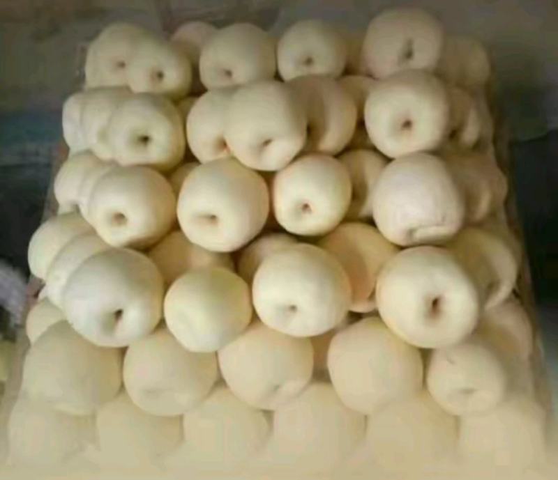 中国第一梨乡山西省同川酥梨，