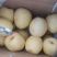 中国第一梨乡山西省同川酥梨，