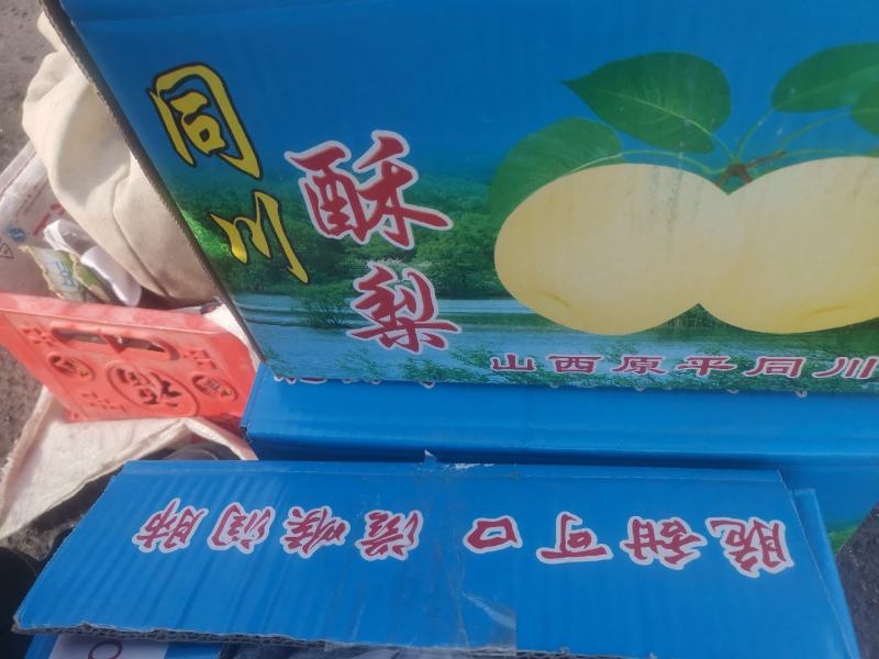 中国第一梨乡山西省同川酥梨，