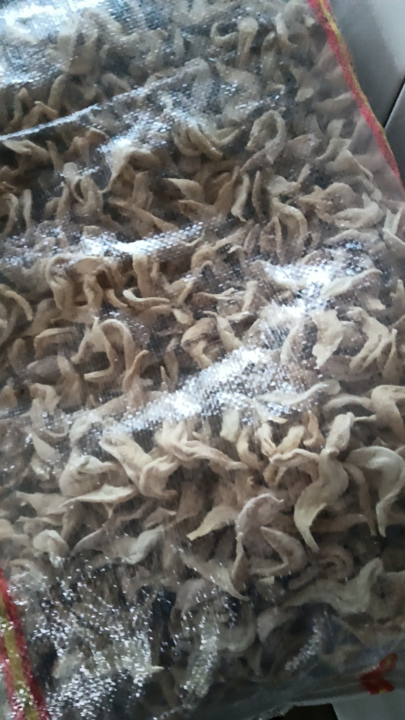 豆皮人造肉蛋白肉