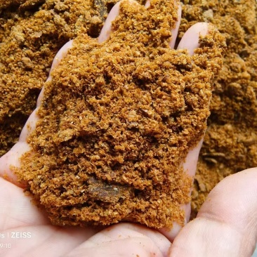 玉米胚芽油饼，蛋白16.6脂肪10.5水分8.1