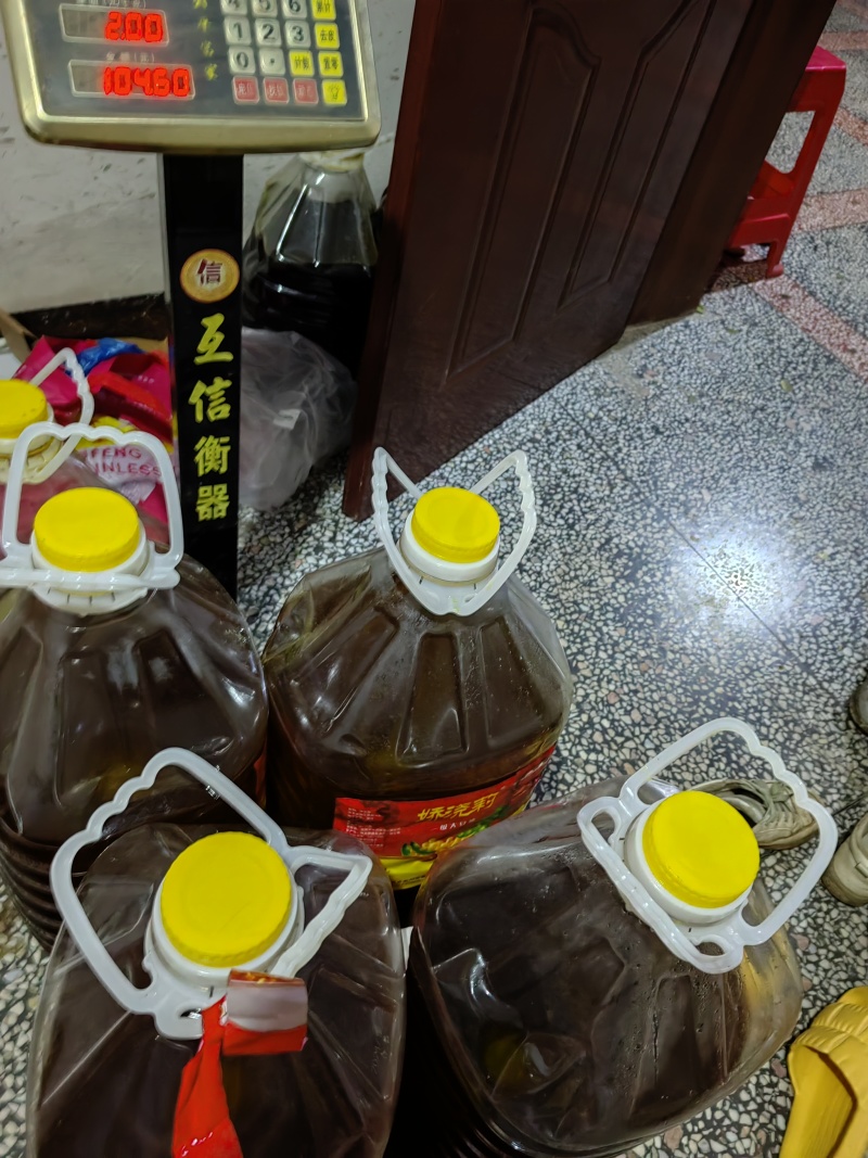 百年老树山茶油