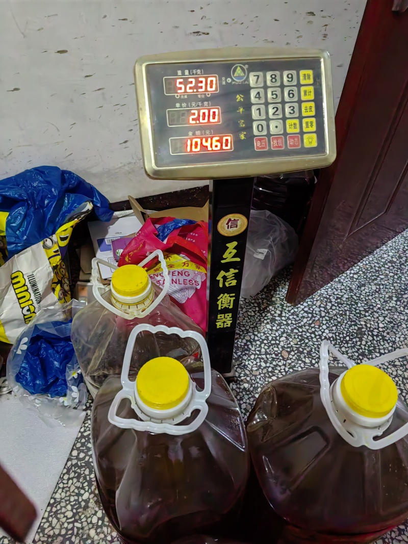 百年老树山茶油