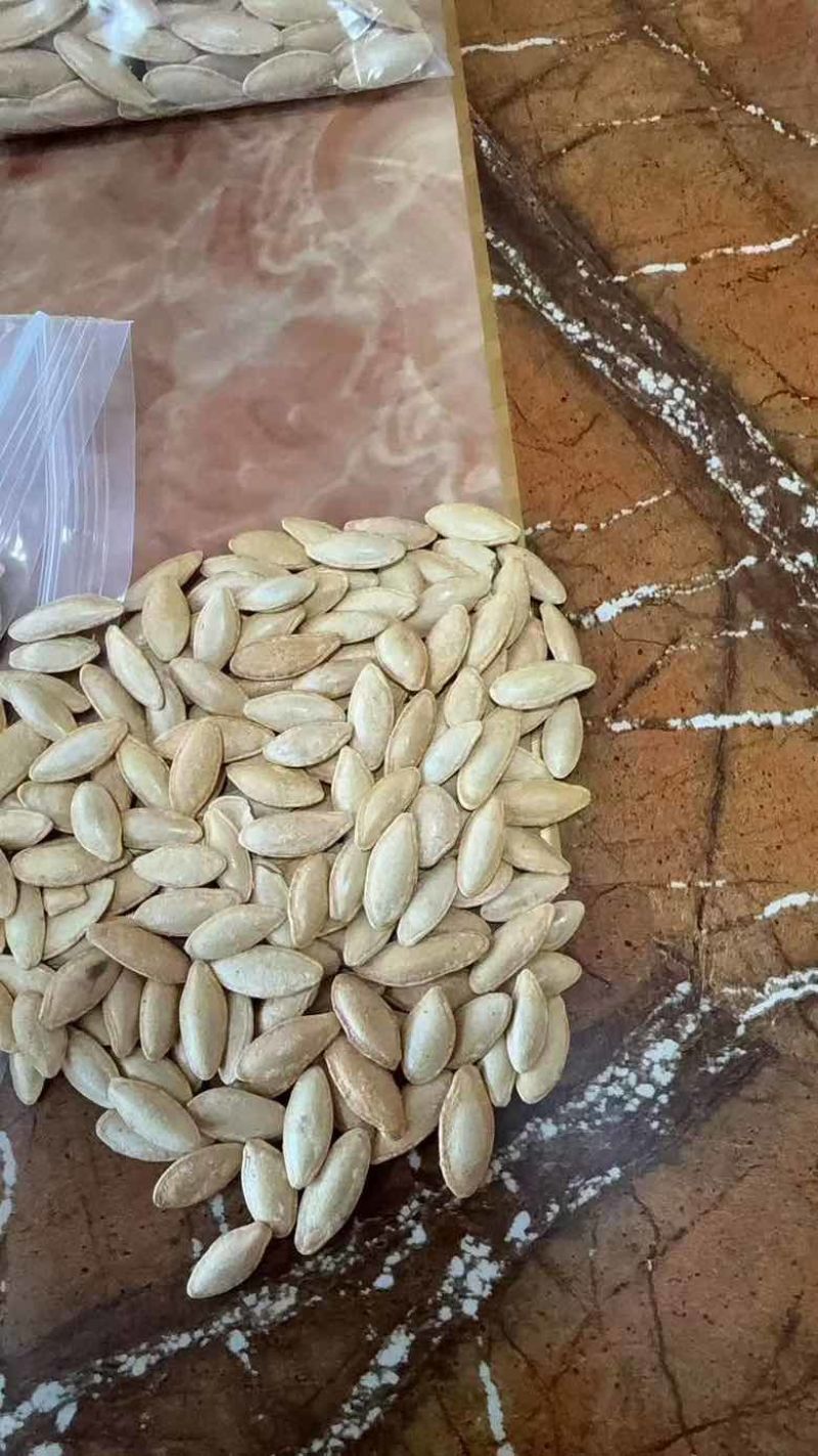 电商美人甲南瓜子支持一件貸发电商货椒盐美人甲原味